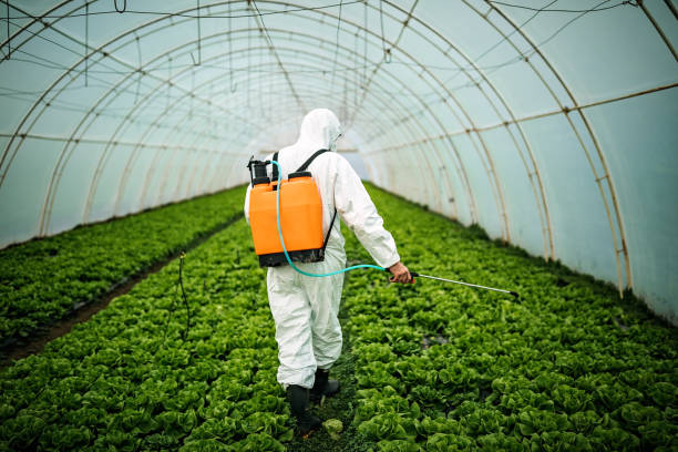 Pest Control for Restaurants in Tenaha, TX