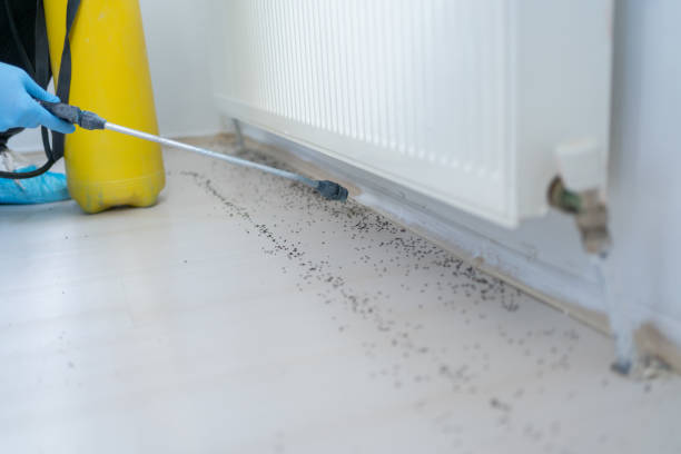 Best Pest Prevention Services  in Tenaha, TX