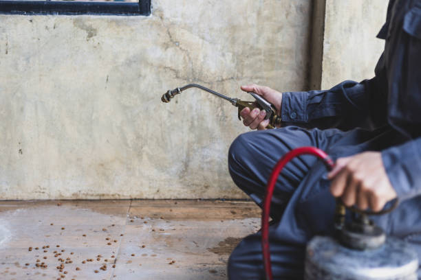 Best Exterminator Services  in Tenaha, TX