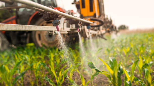 Best Pest Removal Services  in Tenaha, TX