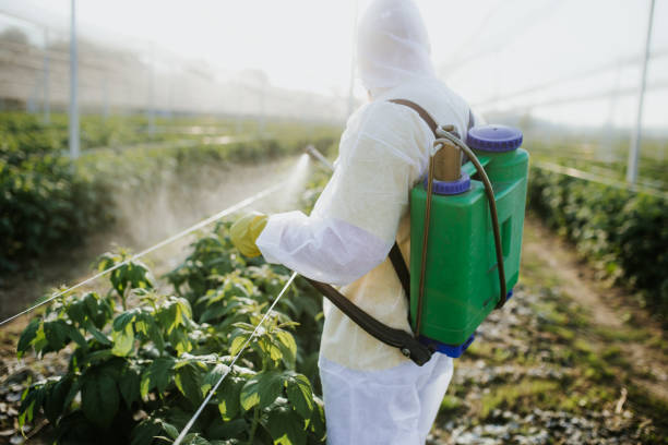 Best Pest Control Near Me  in Tenaha, TX